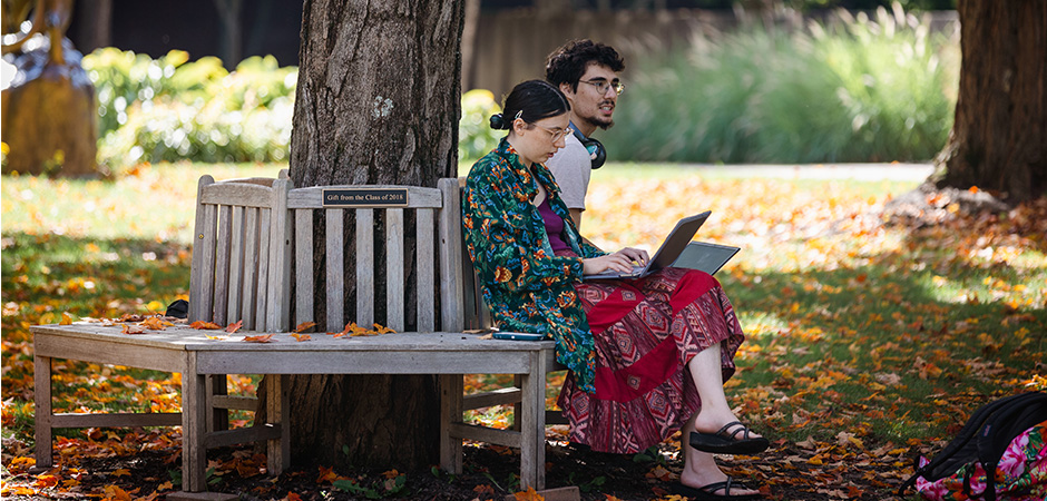 MCLA students under a tree