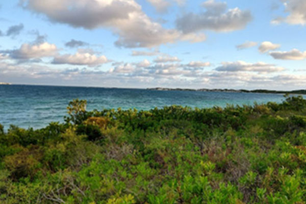 MCLA travel course Bahamas