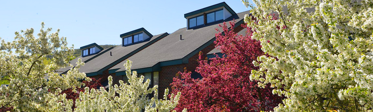 Trees in bloom at the MCLA townhouses