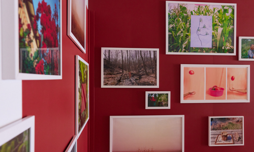 gallery overview