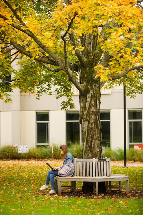 Student studying under an autumn tree