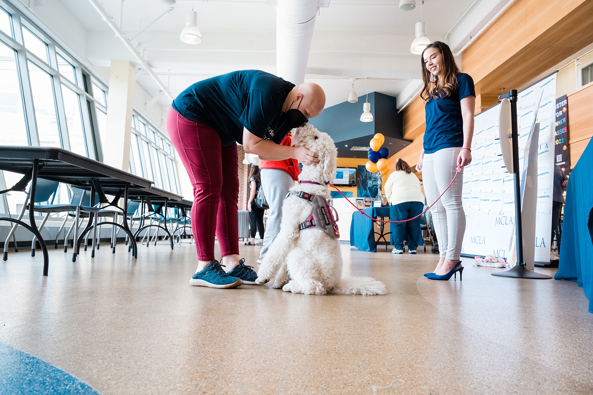 A student outside the classroom interacting with an animal in a veterinary setting.